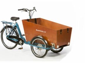 cargobike cruiser long steps